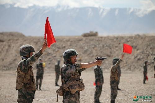 高原激战,生死较量，英勇无畏的战斗篇章