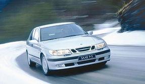 美洲豹的生存挑战